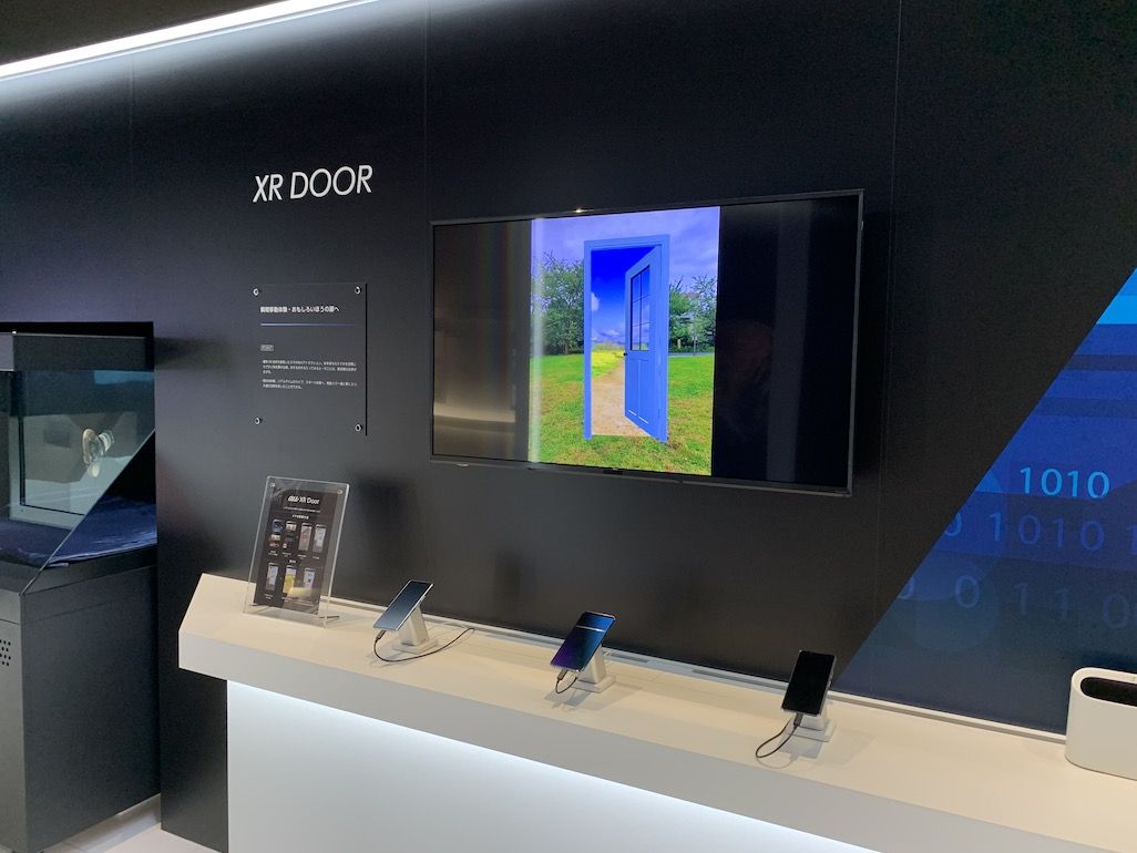 XR Door
