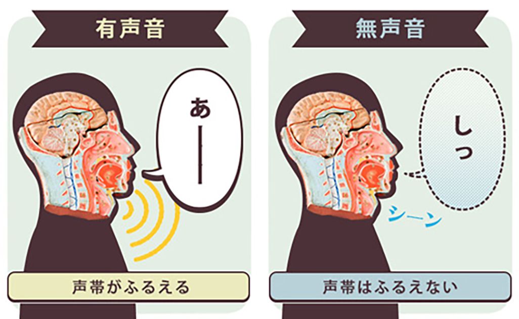 有声音と無声音