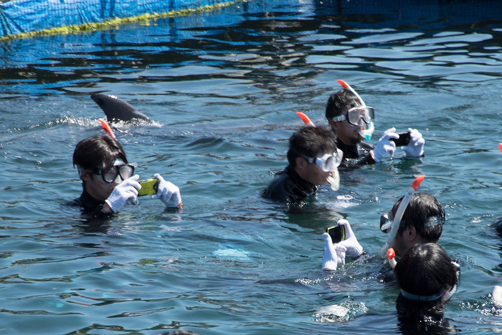 いざ、海の中へ。ウェットスーツのおかげで沈むことなくぷかぷかと浮いていられる