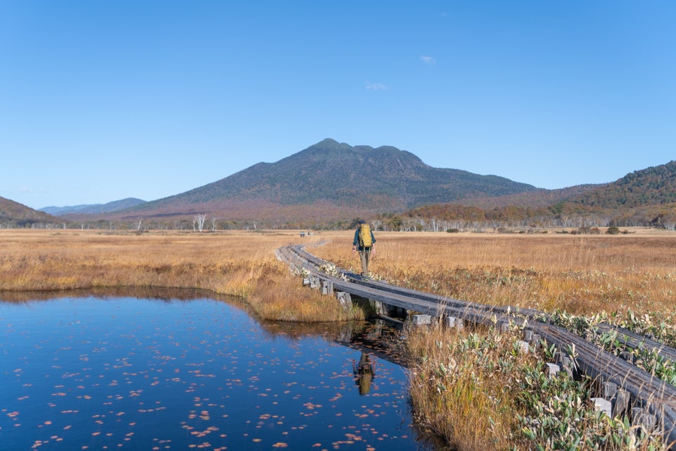 紅葉が湿原を彩る秋の尾瀬