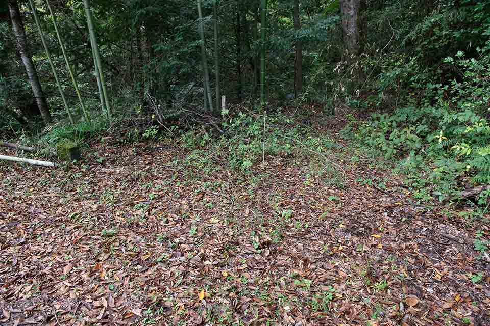 落ち葉に埋もれて、弁栓の場所がわからない