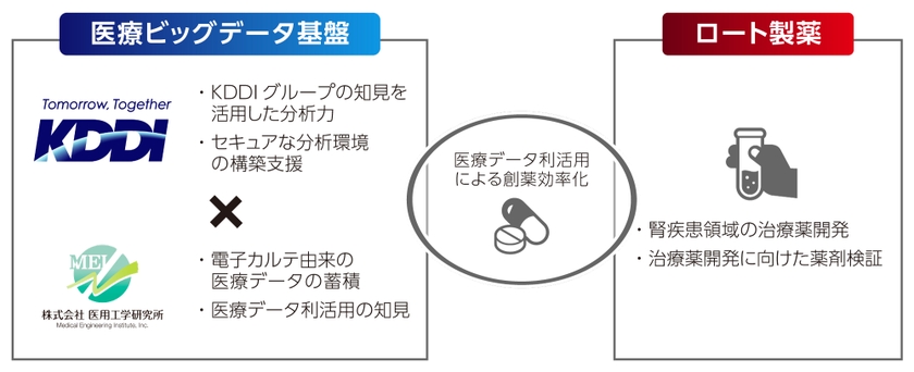 KDDI、MEI、ロート製薬のプロジェクト内容