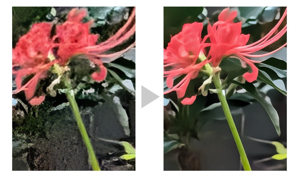 超解像ズームProで補正前の写真（左）と補正後の写真（右）