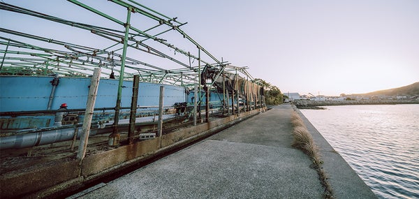 陸上養殖をスマート化して利益を拡大、水産業の価値を高める