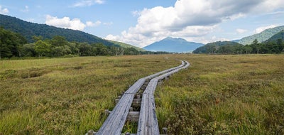 尾瀬国立公園の課題に通信が果たす役割 登山者の安全確保からシカ対策まで