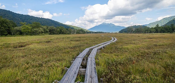 尾瀬国立公園の課題に通信が果たす役割 登山者の安全確保からシカ対策まで
