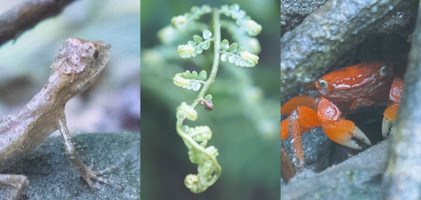 「生物多様性を守りたい。」ネイチャーポジティブに向けた取り組み