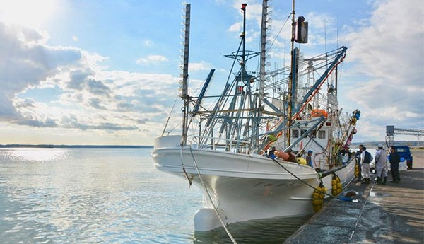 漁師の笑顔のために！ 北海道の漁師町に電波を届けた舞台裏