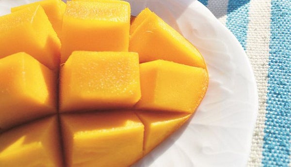 IoTマンゴー栽培で名産を守れ！ 農業を見える化した宮古島とKDDIの取り組みとは