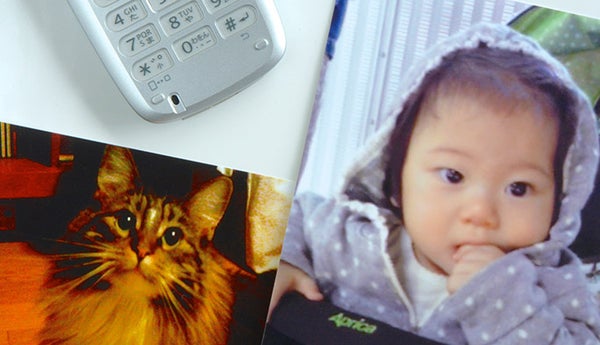 au SHINJUKUで懐かしのガラケーを再起動したら、あの写真が出てきた