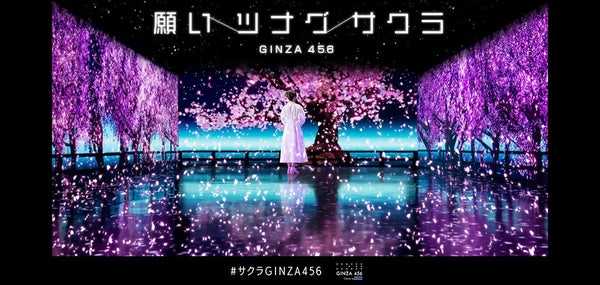 幻想的な世界に没入できるお花見体験！GINZA 456の「願いツナグサクラ」の魅力とその舞台裏