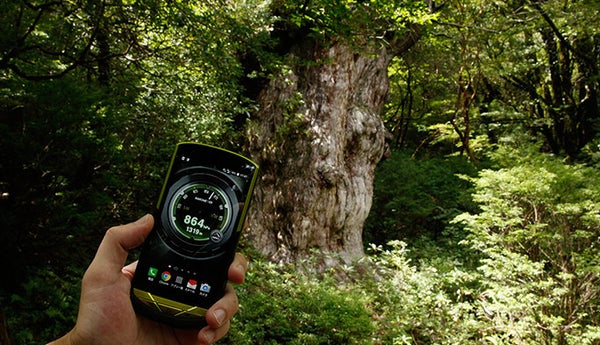 海越しに電波を飛ばせ！ 「世界遺産・屋久島でスマホが使える」を実現した驚愕のアイデア